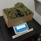 Prawie kilogram marihuany i 200 g mefedronu u dwóch mężczyzn z Kołobrzegu