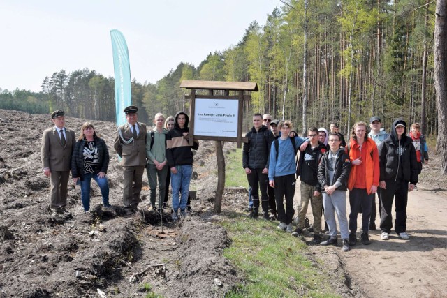 Las Pamięci Świętego Jana Pawła II, czyli jak mieszkańcy powiatu międzychodzkiego posadzili lipy w Puszczy Noteckiej (28.04.2023).