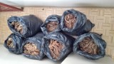 Policjanci z Wąbrzeźna ujawnili blisko 15 kg tytoniu bez akcyzy