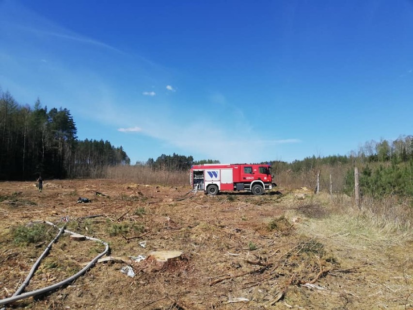 Pożar lasu w Leśnictwie Lisewo na zdjęciach strażaków OSP Przechlewo
