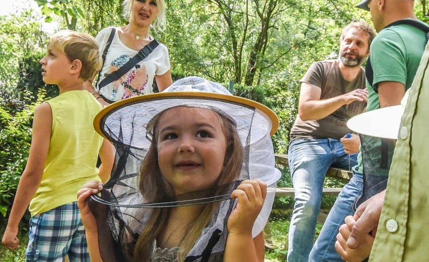 W Ogrodzie Botanicznym UKW odbył się „Wielki Dzień Pszczół”,...