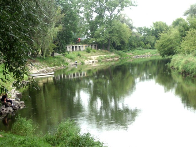 Rzeka Narew