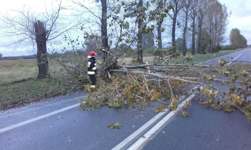 Pozrywane i uszkodzone dachy, połamane drzewa oraz zerwane...