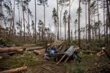 Zarzuty dla meteorologów m.in. z Krakowa ws. tragedii w Suszku na Pomorzu