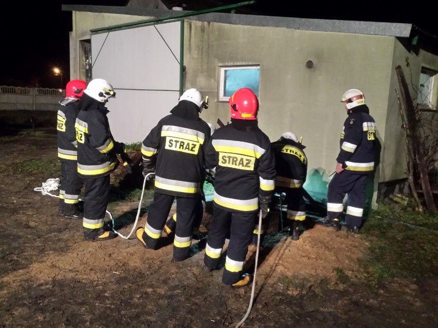Strażacy oraz druhowie z OSP Sompolno oraz OSP Racięcice ,uratowali byki  które wpadły do szamba w gminie  Sompolno