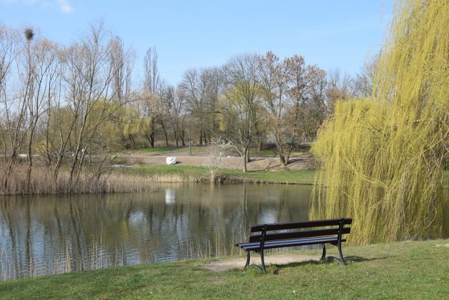 Park Przyjaźni w Kaliszu nabiera blasku. Na terenie zieleńca ma powstać taras słoneczny