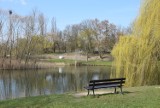 Park Przyjaźni w Kaliszu nabiera blasku. Na terenie zieleńca ma powstać taras słoneczny ZDJĘCIA