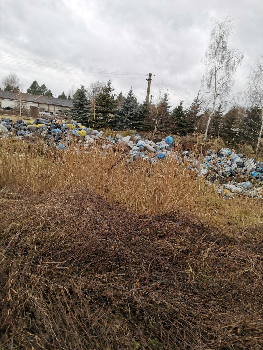 Śmieci zakopane na działce w Zimnej Wodzie. Jasielski biznesmen Grzegorz S. stanie przed sądem