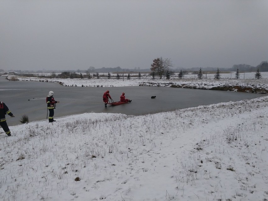 Strażacy ratowali uwięzione na lodzie barany, 10 II 2018