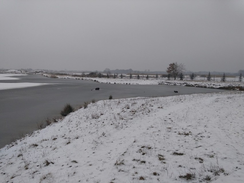 Strażacy ratowali uwięzione na lodzie barany, 10 II 2018