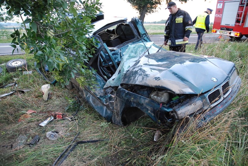 Kolonia Pałecznica: Kierowca BMW roztrzaskał się na drzewie (ZDJĘCIA)