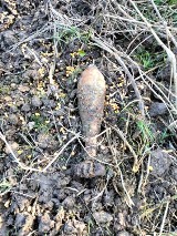 Granat moździerzowy odnaleziony w lesie w gminie Kęsowo. Podjęli go saperzy z Chełmna