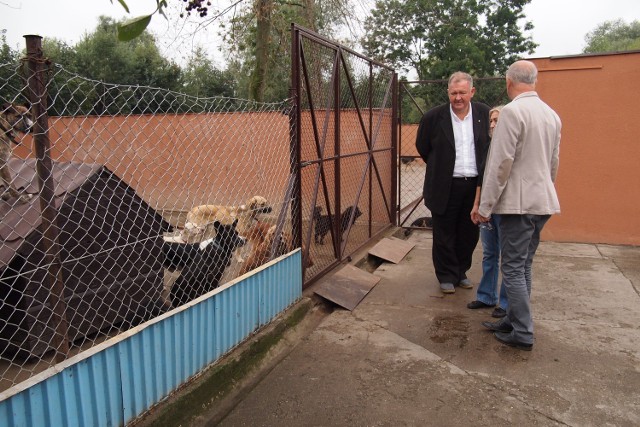 Schronisko dla bezdomnych zwierząt w Gnieźnie dostało pozytywną ocenę NIK.