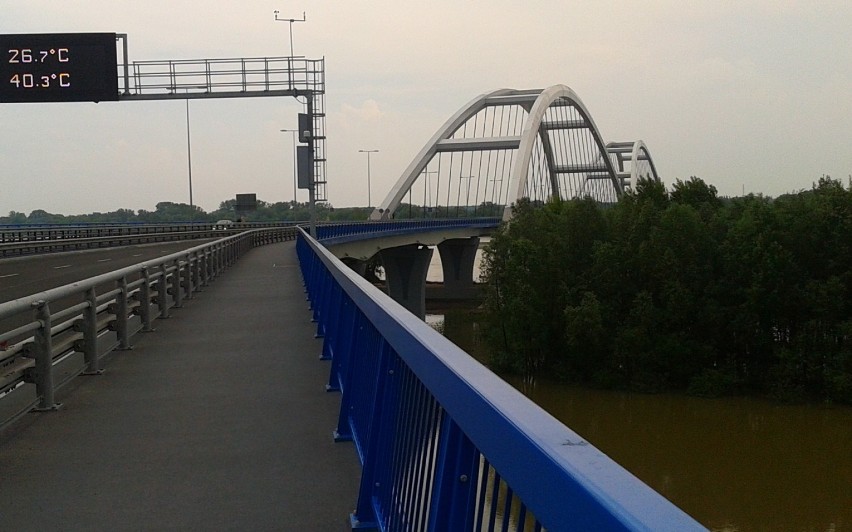 Pod nowym mostem w Toruniu trwają  prace przy odwodnieniu i melioracji.