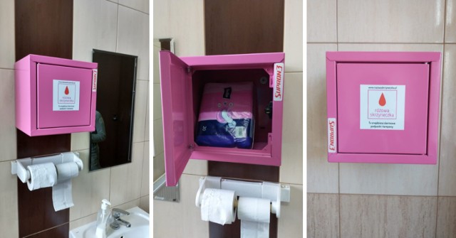 Zespół Szkół Technicznych w Kłodzku: różowe skrzyneczki w damskich toaletach
