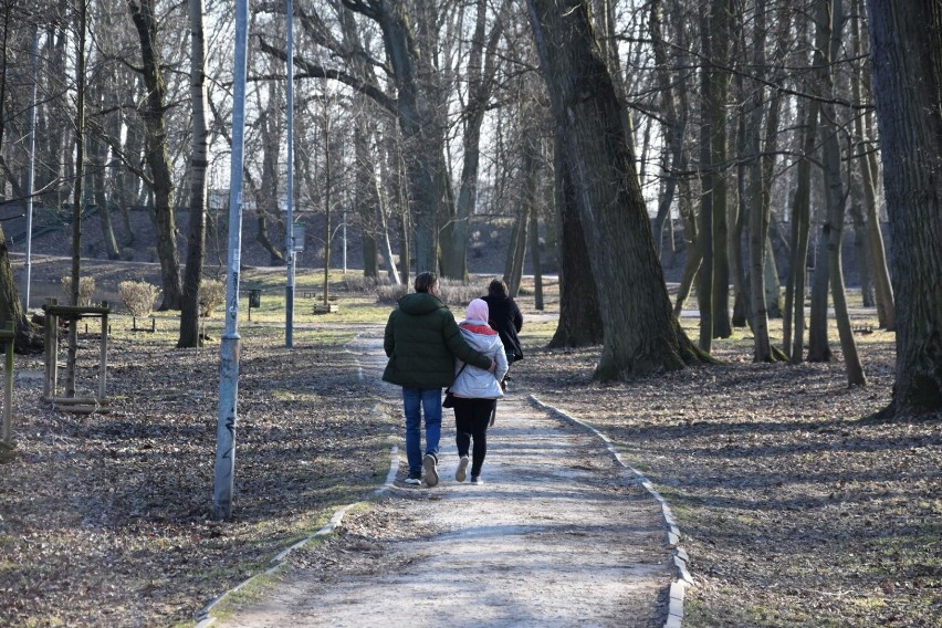 Gniezno: W miejskich parkach widać pierwsze oznaki wiosny [20.03.2022]