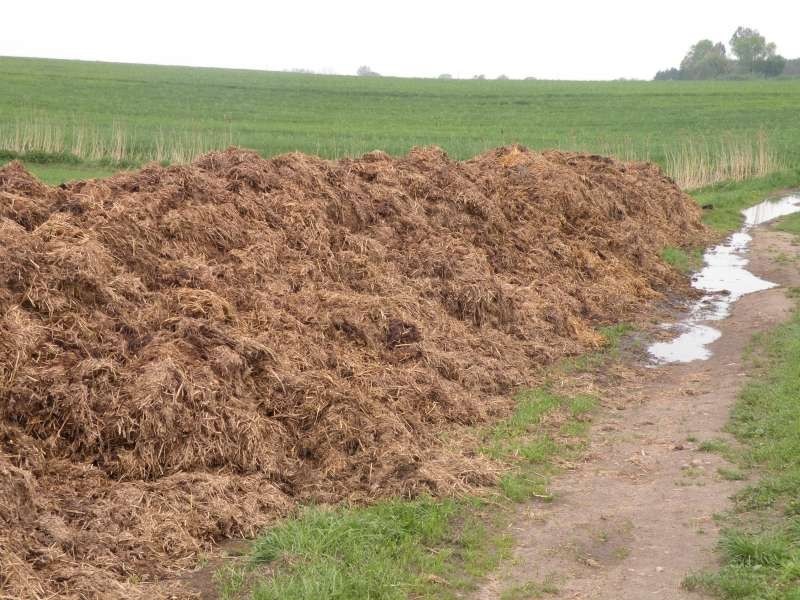 Tak wygląda gnój w Baranowie