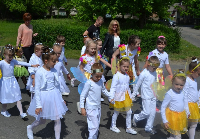 Dni Siewierza 2014, wystąpił Zakopower