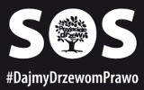 SOS dla drzew! Fundacja Eko-Lubusz przeprowadzi akcję w obronie żarskiego drzewostanu