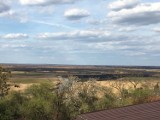 Biebrzański Park Narodowy. Oto krajobraz 10 dni po pożarze [zdjęcia] 8.05.2020