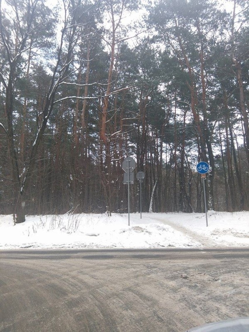 Droga dla rowerów nieopodal alei Na Stadion jest...