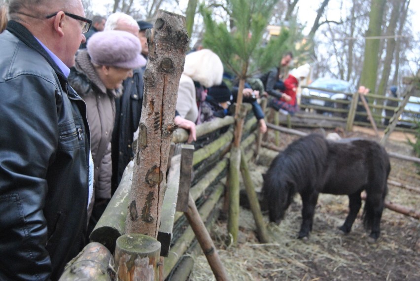 Szopka bożonarodzeniowa we Woźnikach ZDJĘCIA