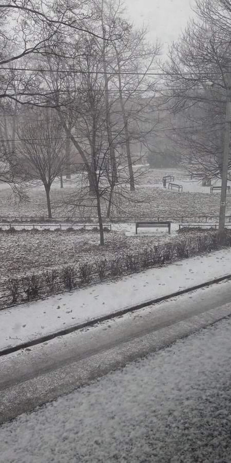 Śnieżyca w Rybniku. Na kilka minut pod śniegiem zniknęły ulice, auta, domy... Zobacz ZDJĘCIA mieszkańców