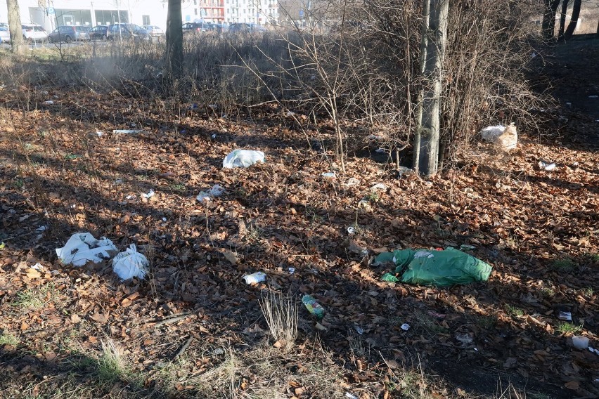 Sterty śmieci zalegają przy ulicy Jaworzyńskiej w Legnicy, mieszkańcy proszą o pomoc