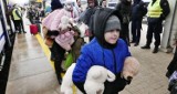Wsparcie dla dzieci i rodziców dotkniętych kryzysem migracyjnym w PPP w Radomsku