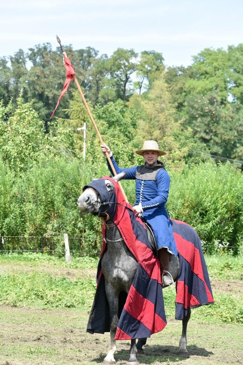 Efektowne show "Rycerze w ogrodzie 2022" odbyło się w Arboretum Bolestraszyce [ZDJĘCIA]