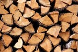 Lubartów: Kradli drewno z lasu