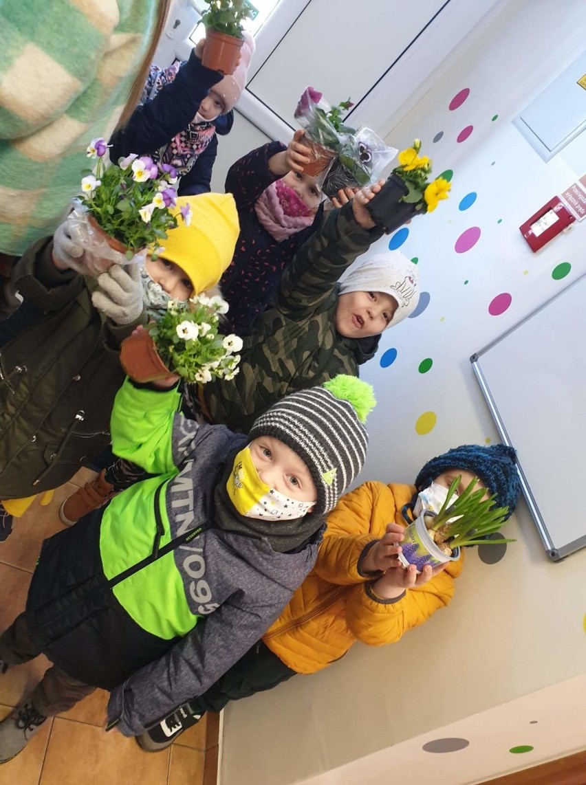 Dzień wiosny w Przedszkolu Samorządowym w Nowych Polaszkach. Dzieci sadziły kwiaty i wybrały się na wiosenny spacer [ZDJĘCIA]