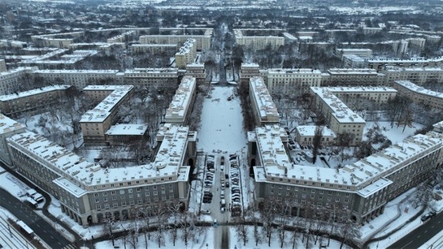 Aleja Róż