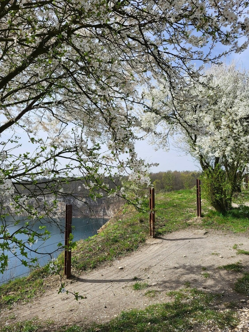 Idealne miejsce na wiosenny spacer - Zakrzówek
