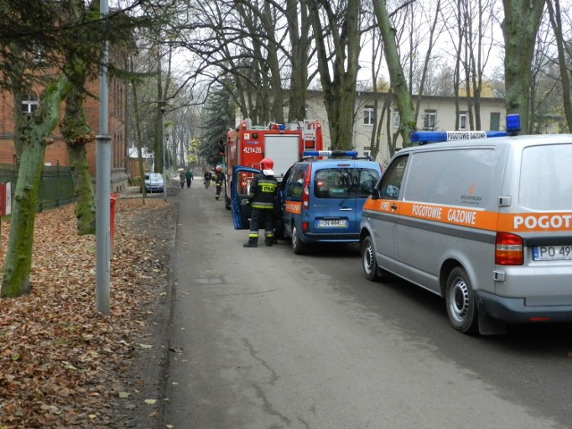 Fałszywy alarm bombowy w Gnieźnie w listopadzie 2013