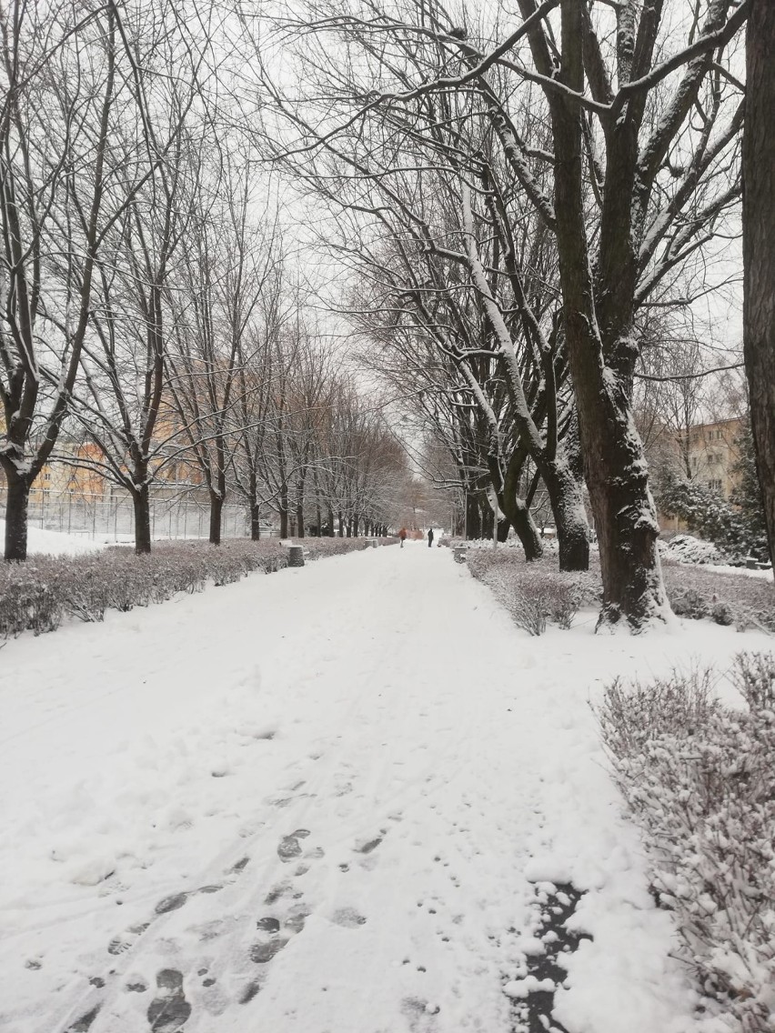 Nadejście zimy w obiektywie Czytelników z Puław!