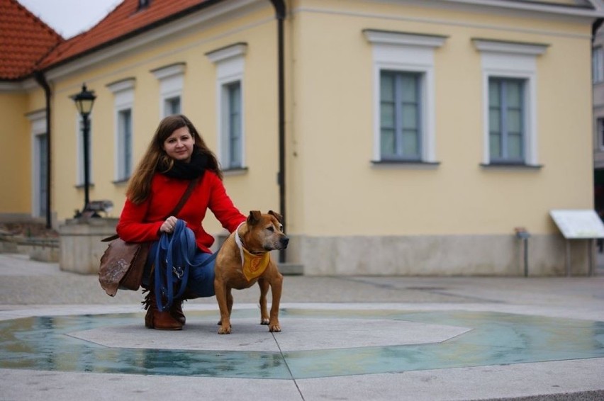 Poznaj schroniskowe psy i... zakochaj się! Te czworonogi...