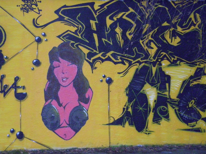Graffiti Żory: Sztuka czy wandalizm?