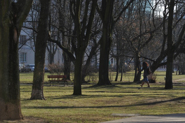 Park Kaskada na Żoliborzu zniknie? "Chrońmy go przed biurowcami" - błagają mieszkańcy