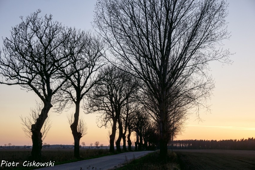 Foto powiat pucki: rowerowa wycieczka do Rzucewa. Tata i syn odwiedzili Osadę Łowców Fok i zamek w Rzucewie