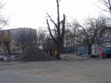 Tu powstanie długo wyczekiwany skatepark w Chełmnie. Prace ruszyły. Zdjęcia