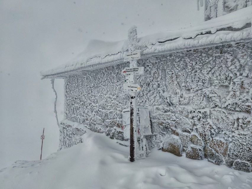 Alaska? Syberia? Nie, Kasprowy Wierch! Budynki oblepione śniegiem, w Tatrach zima w pełni [ZDJĘCIA] 30.01.2021