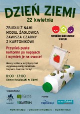 Akcja ekologiczna w Gdyni. Zbudują model Zawiszy Czarnego z kartoników