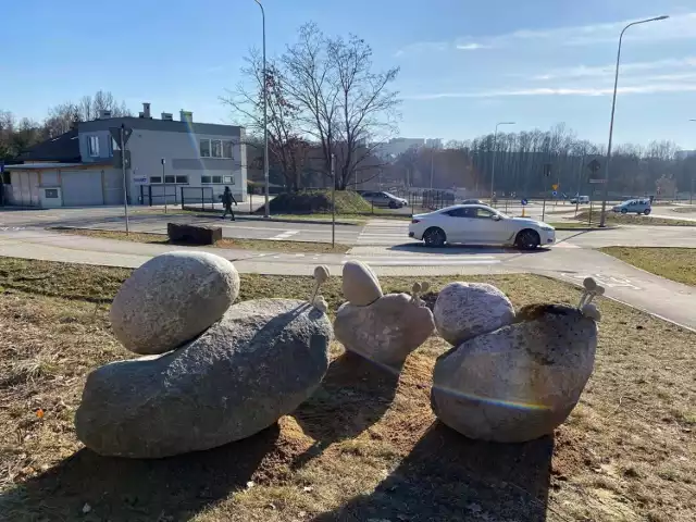 Kamienne ślimaki w pobliżu ronda Stefana Maja w Kielcach. Więcej na kolejnych zdjęciach