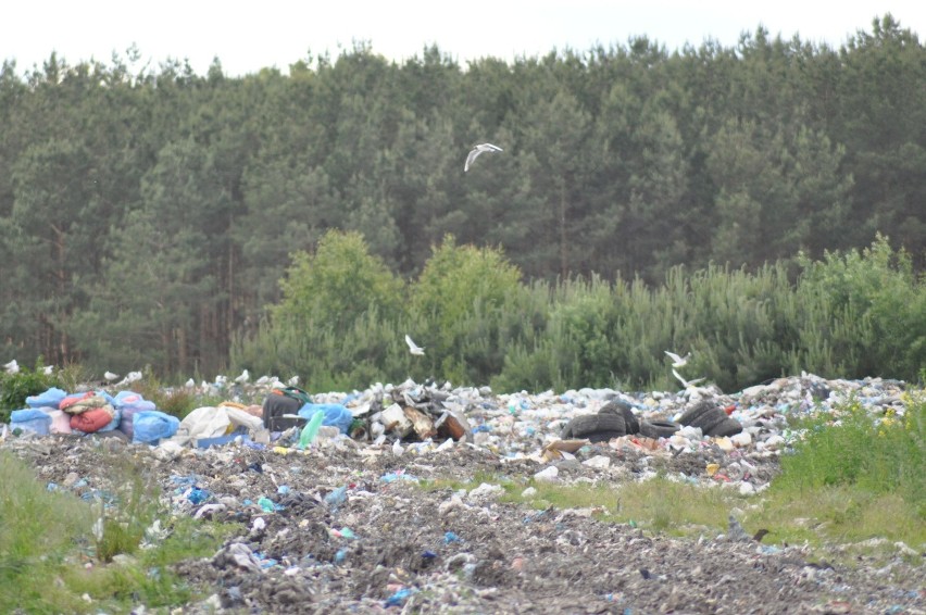 Nadciągają kolejne podwyżki opłat za śmieci. Czy w Szczecinku możliwe są dopłaty? [zdjęcia]