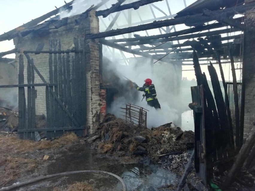 Uderzenie pioruna w stodołę w Turawie. Spaliło się siedem sztuk bydła 