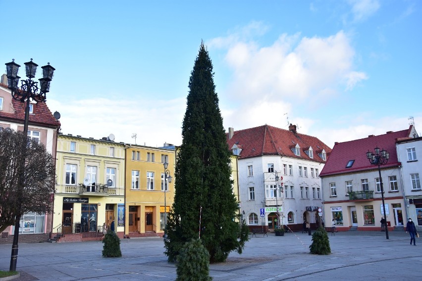 W Żninie ustawiono choinki na rynku oraz ul. Śniadeckich.