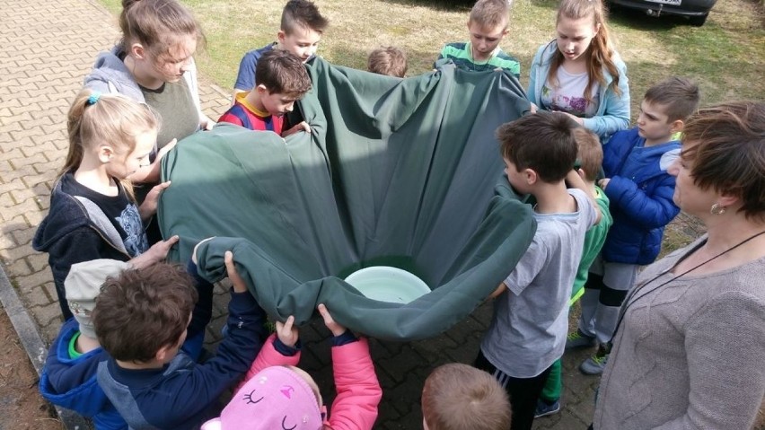 Dzieci poznają ciekawy świat ekologii (ZDJĘCIA)