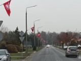 Na ulicach Środy pojawiły się flagi Powstania Wielkopolskiego. Jak będą wyglądać obchody?