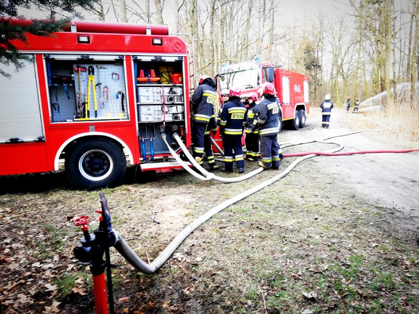 Strażacy z Wielkopolski na ćwiczeniach w Korytach